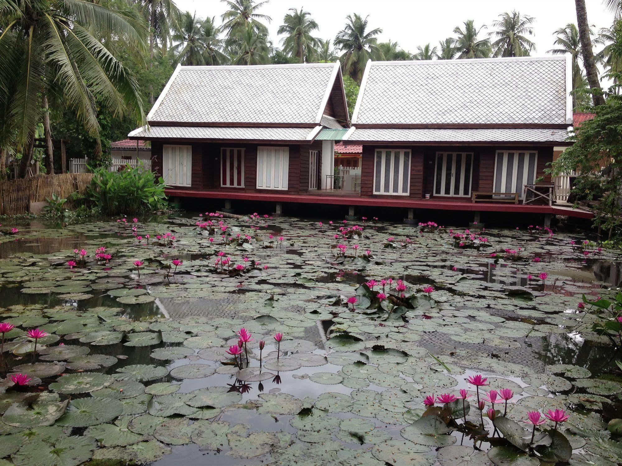 Luang Prabang Oasis Hotel Luaran gambar